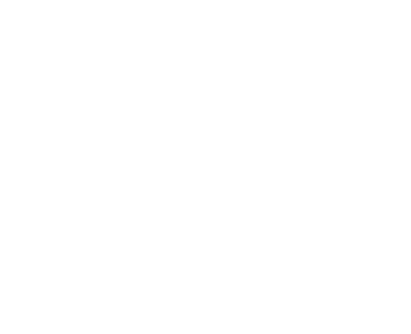 global jet airways